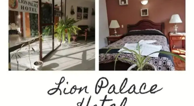 Lion Palace Hostel, Book Hostel / Vandrerhjem Hostels i La Paz Region, Hostel / Vandrerhjem