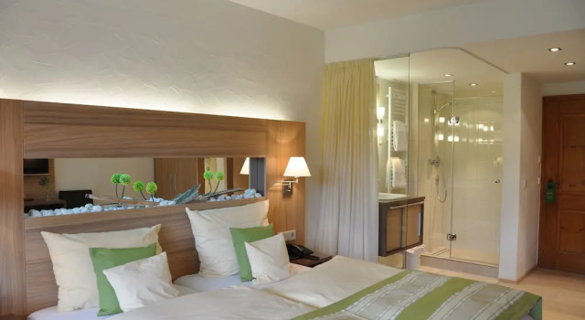 Номер Superior Alemannenhof - Boutique Hotel am Titisee