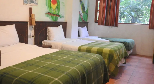 Habitación triple Estándar Biohostal Mindo Cloud Forest