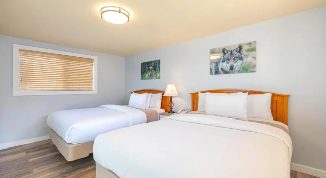 Четырёхместный номер Standard Miller Park Lodge