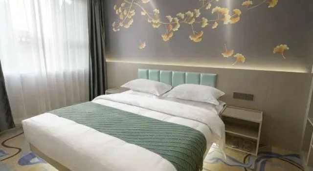 Люкс Deluxe Changji Xinyue Hotel