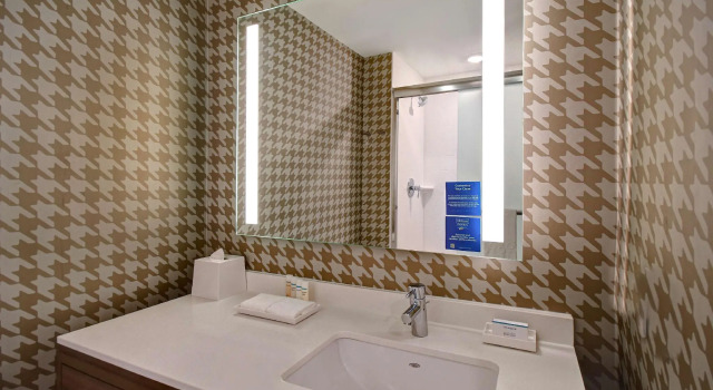 Двухместный люкс Home2 Suites By Hilton Kalamazoo Downtown, Mi