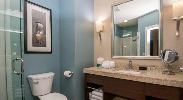 Executive- dobbelt værelse Hotel Indigo Waco