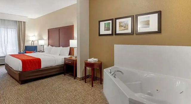 Двухместный номер Standard Цокольный этаж Comfort Inn & Suites Canton Riverstone Area
