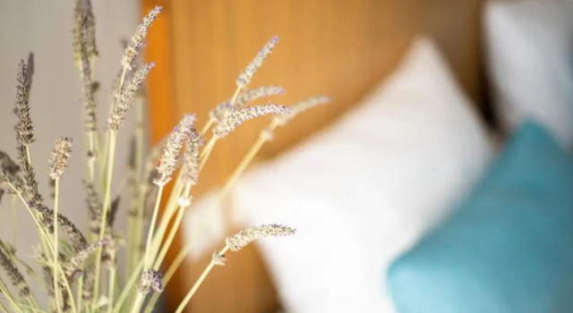 Одноместный номер Economy Myrto Hotel