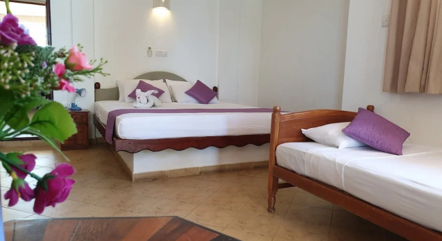 Номер Superior с балконом и с видом на море Oasey Beach Hotel