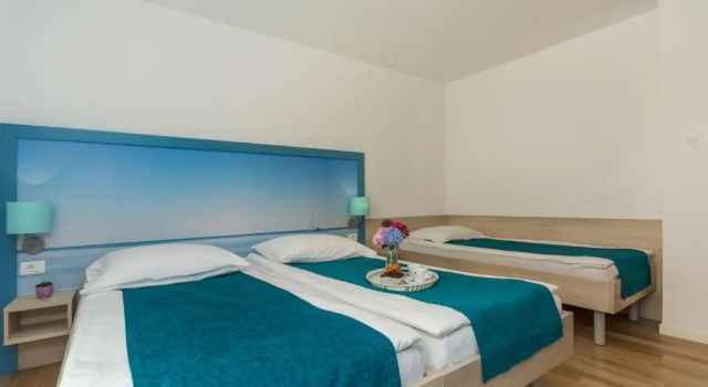 Трёхместный номер Standard Hotel Vista