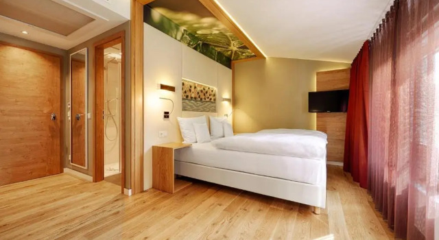 Номер Standard Kaisergarten Hotel Deidesheim