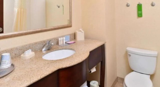 Люкс Hampton Inn & Suites Muncie
