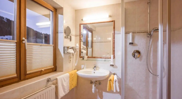 Одноместный номер Standard Hotel Bichlingerhof