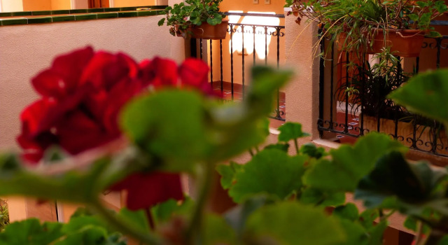 Apartamentos Shoal