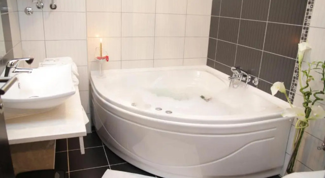 Двухместный номер Luxury с видом на парк Hotel Royal Spa