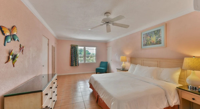 Апартаменты Superior с красивым видом из окна Butterfly Beach Hotel