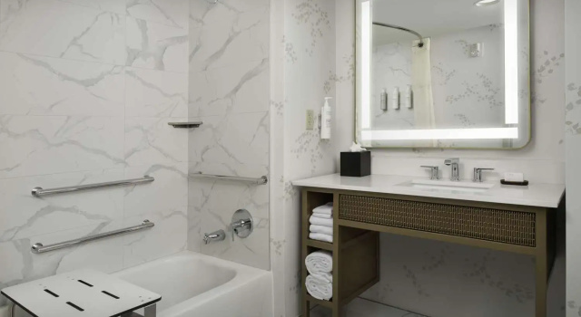 Одноместный люкс c 1 комнатой Embassy Suites by Hilton Dulles North Loudoun