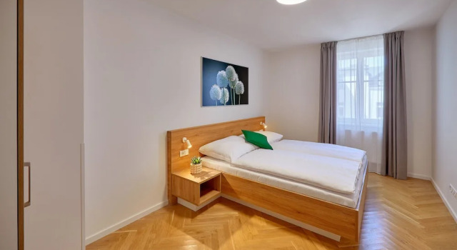 Apartamento De lujo DownTown Suites Rubesova