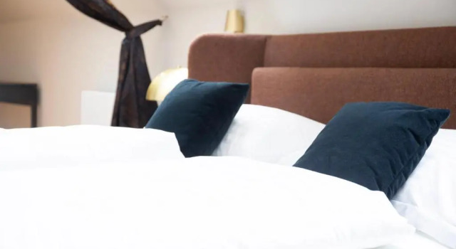 Люкс Superior Blackhome Wien I contactless check-in