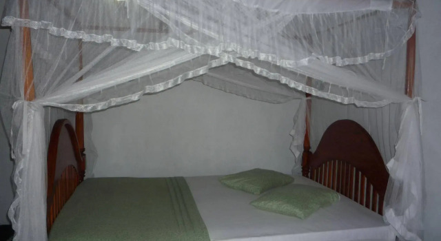 Dinuliya