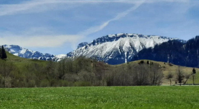Daire Allgäu Tipp