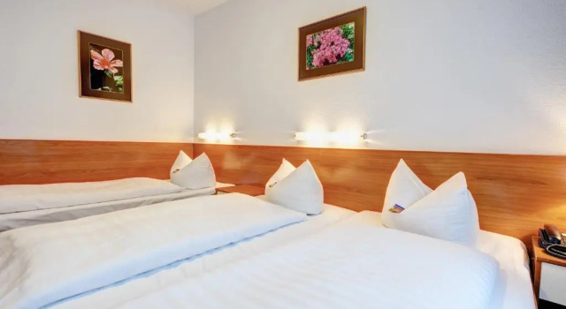 Трёхместный номер Standard Hotel Antares München