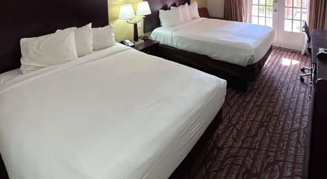 Четырёхместный номер Standard Studio 6 Suites - Dallas, TX - Downtown