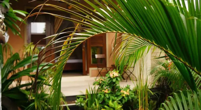 Rumahku Homestay, Book Hotel Cheap Hotels in Bali