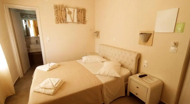 Двухместный номер Economy Amaryllis Hotel