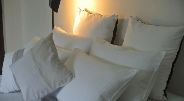 Номер Standard "27" Spathodea- Oasis in the City