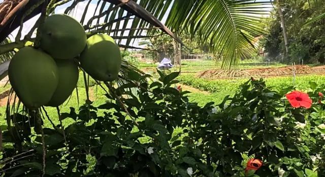 Семейный номер Standard с видом на озеро Hoi An Osaka Riverside Villa & Spa