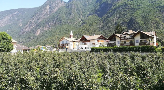 Номер Standard Pension Sunnhofer