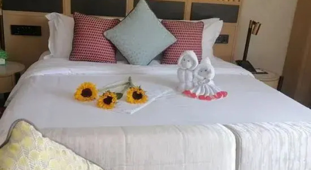 Люкс Xichang Guanhai Tingtao Art Hotel