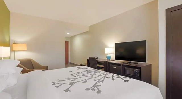 Номер Standard Sleep Inn & Suites North Mobile Saraland