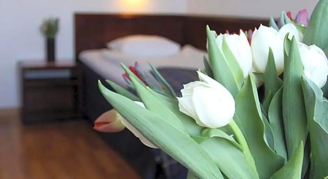 Номер Economy First Hotel Stadt