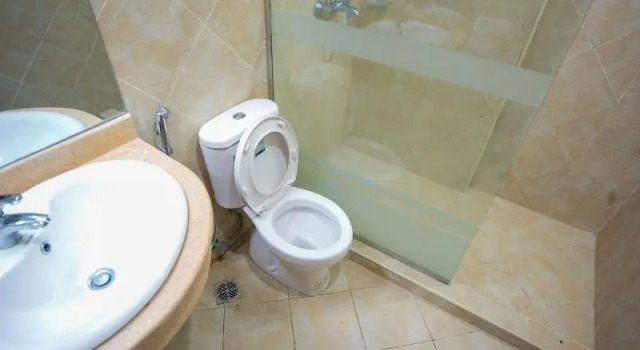 Полулюкс Standard Euro Hotel and Apartments