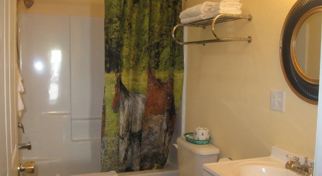 Четырёхместный номер Standard Western Motel