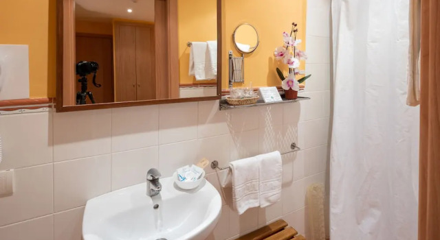 Номер Economy Hotel Ripoll