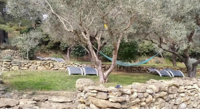 Коттедж с 2 комнатами Gite du domaine de l'Arbre de Vie