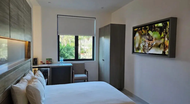 Номер Standard Aventuras Hotel