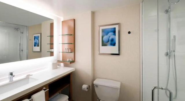 Номер Standard Delta Hotels by Marriott Seattle Everett
