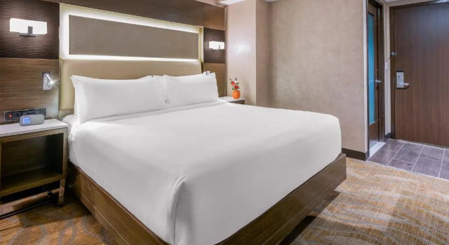Двухместный номер Standard Holiday Inn Brooklyn Downtown by IHG