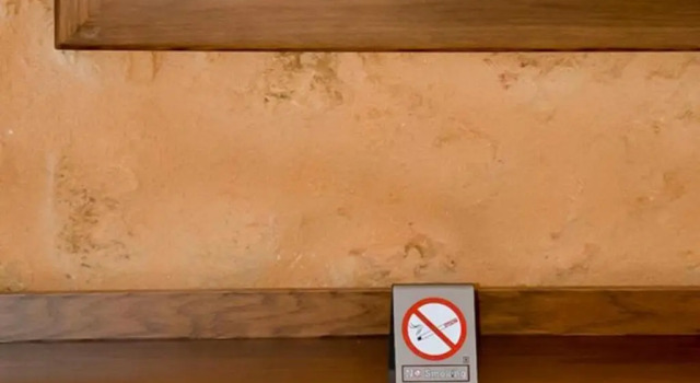 Номер Standard Santrivani Rooms