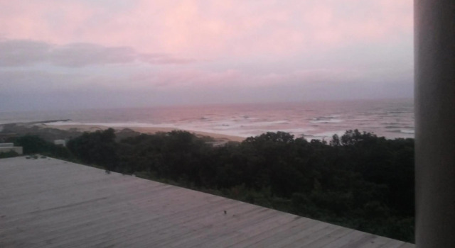 The View