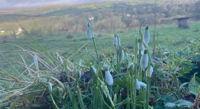 Stags View,Unique eco cabin, Dartmoor views