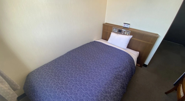 Camera Standard Inuyama City Hotel