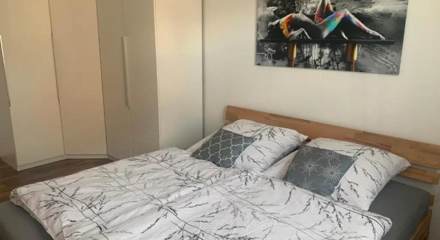 Große moderne Ferienwohnung, zentrale ruhige Lage