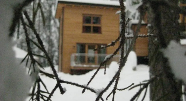 Шале c 1 комнатой Forest Chalet Resort FELIZITAS