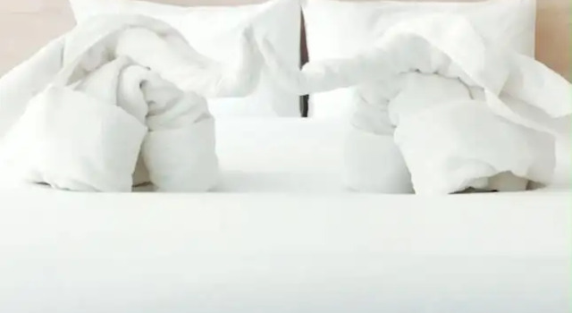 Номер Standard Me and Tree Villa