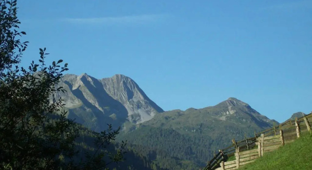 Номер Standard Hotel Garni Hanslerhof " Urlaub am Bauernhof "