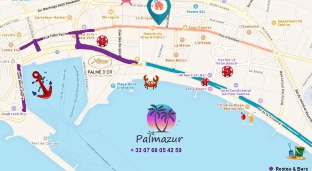 Студия Studio By Palmazur