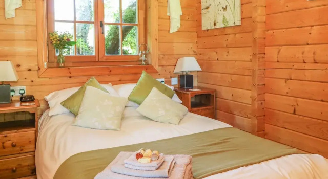 Pond Cabin