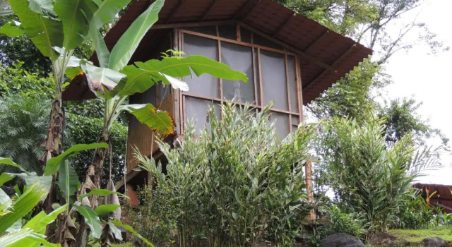 Бунгало Standard Pacuare River Lodge
